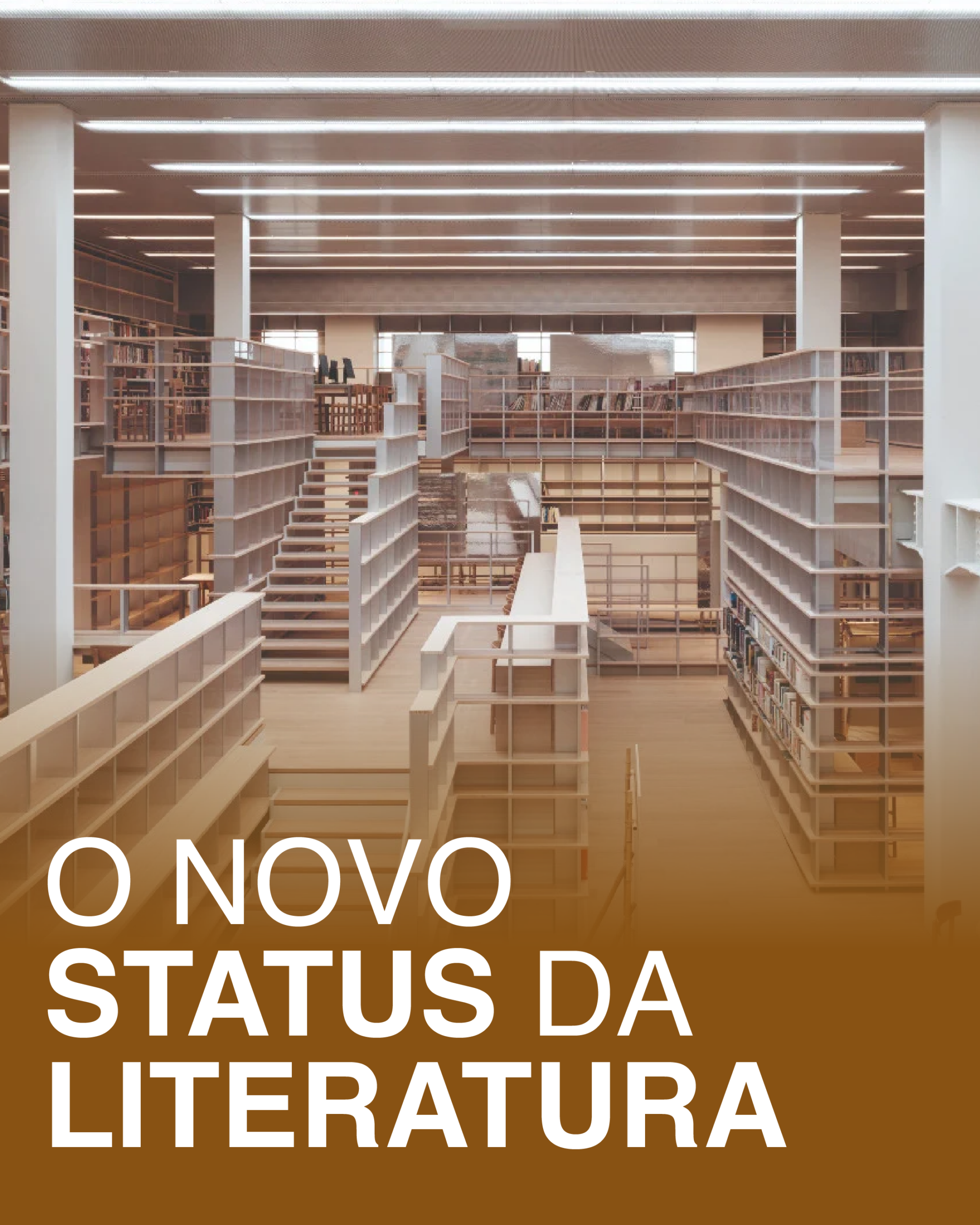 O NOVO STATUS DA LITERATURA